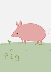 Pig animals