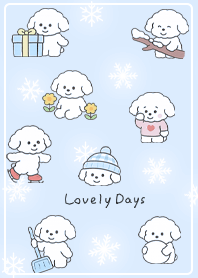 blue Toy Poodle's Warm Winter 05_2