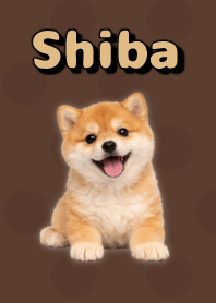 Shiba Inu Plush Theme Brown 01