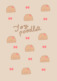 cute toy poodle