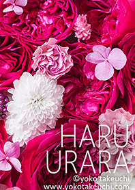 HARU URARA [Japanese style flower]