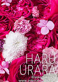 HARU URARA [日式花]