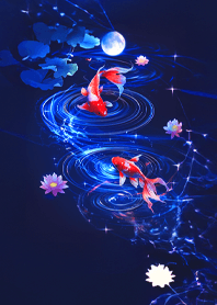 fantasy lumiere12_JP