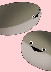 呆然とする坂番のカメ(ピンク)