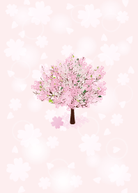 Simple Sakura in Spring.