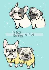 french bulldog and pug.