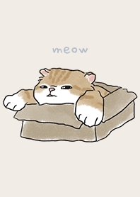 neko drawing2 - beige