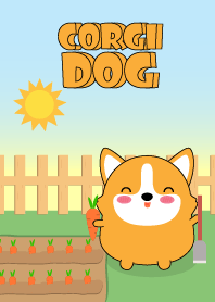 So Cute Fat Corgi Dog Theme (jp)