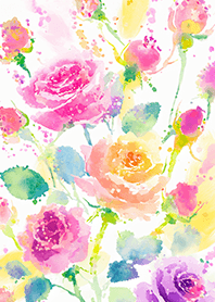 Beautiful rose flower(R4203)