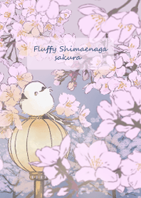 Fluffy Shimaenaga Night Cherry Blossoms