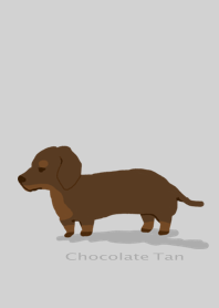 Chocolate Tan