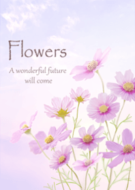 The gentle scent of cosmos3.