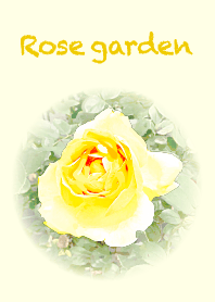 Rose garden -yellow-