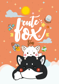 หมาจิ้งจอก กาแล็กซี่ สีชาเย็น