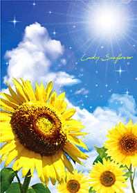 Bring good luck Blue sky & Sunflowers 5*