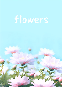 柔美的粉色花#3