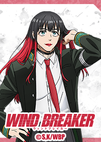 WIND BREAKER Vol.16