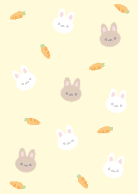 Rabbit love carrots11