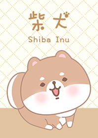 可愛寶貝柴犬 4