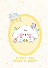 Little dog takes  a photo2