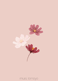 simple コスモス