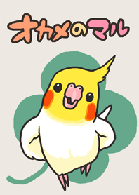 MARU the Cockatiel
