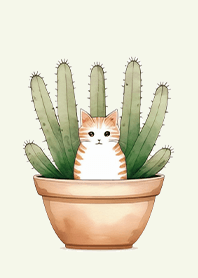 strange cat-Likes Cactus 2.1.1