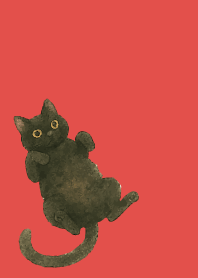 Relaxing black cat on red