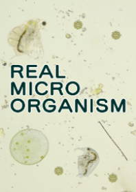 REAL MICRO ORGANISM