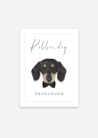 Ribbon dog - Dachshund - 05 - BLACK