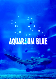 AQUARIUM BLUE