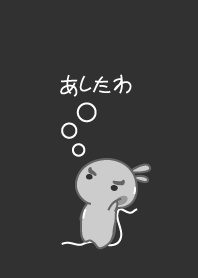 rabbit staring-38