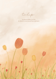 Landscape :: Tulipa
