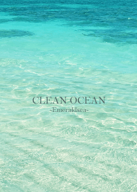 CLEAN OCEAN-Emerald sea MEKYM 39