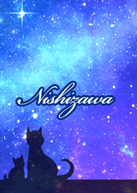 Nishizawa Milky way & cat silhouette