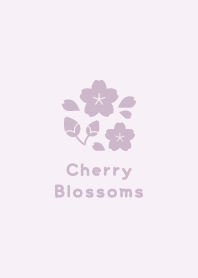 Cherry Blossoms4<PurplePink>