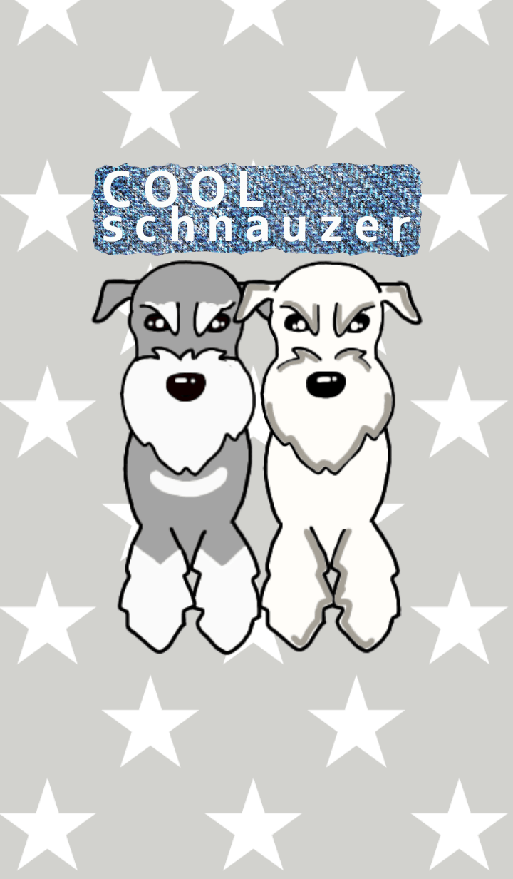 cool schnauzer dog 3