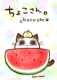 ちょこさん。～夏きせかえ～