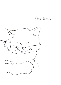 A cat traveling in a dream