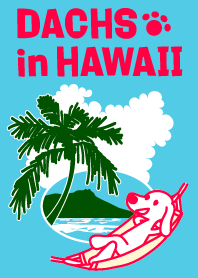 「旅行好きなダックスフント」in ハワイ