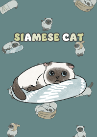 siamesecat7 - cadet blue