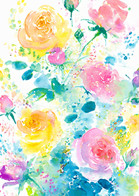 Beautiful rose flower(R4614)