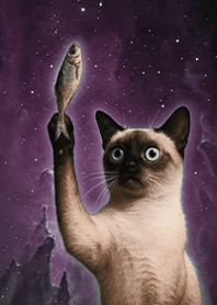 Starry Sky Mystery-Cat 1F