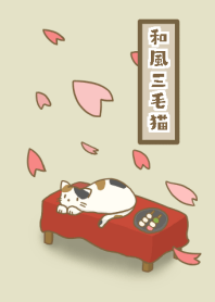 和風三毛猫