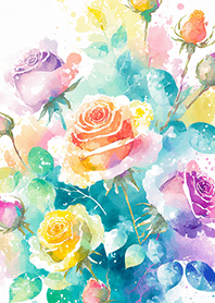 Beautiful rose flower(R4029)