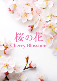 "Cherry Blossoms vol.9" theme