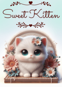 Sweet Kitten No.136
