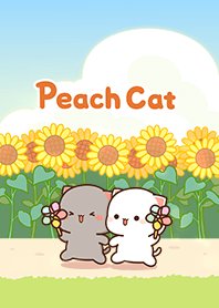 Peach Cat _Sunflower