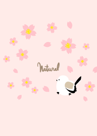 Long-tailed tit spring walk2 from Japan