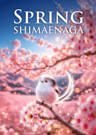 sakura&shimaenaga